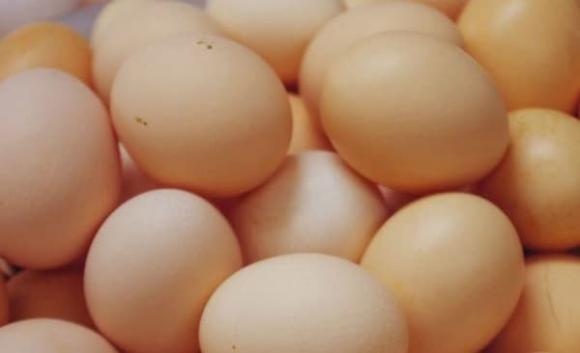 món trứng, tác dụng của trứng, trứng cấm kỵ với đường