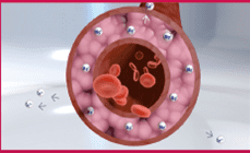 bo-sung-kali-vs-magie (1).png 1 Kali, Magie, chăm sóc sức khỏe