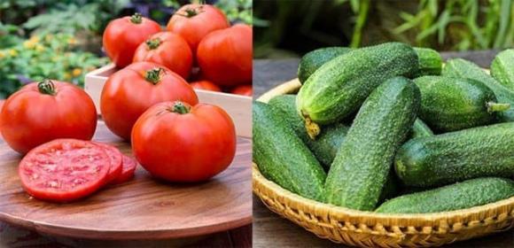 chăm sóc sức khỏe đúng cách, thực phẩm đại kỵ với cà chua, cà chua không nên kết hợp với thực phẩm này