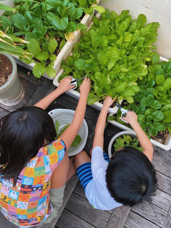 Tăng Thanh Hà, nữ diễn viên, hai nhóc tỳ, sao Việt, biệt thự, 