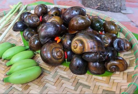lưu ý khi ăn mộc nhĩ, ăn mộc nhĩ, ăn mộc nhĩ đúng cách