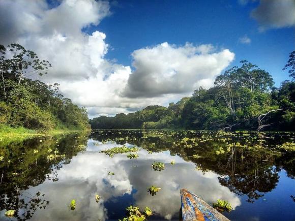 Sông Amazon, Amazon, 