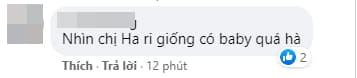 Trấn Thành, Hari Won, sao việt 