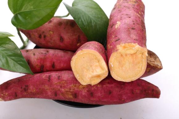  thực phẩm kỵ với cà chua, món không nên ăn chung với cà chua, món ngon