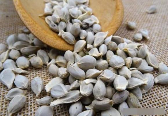 cam, quả cam, tác dụng của quả cam