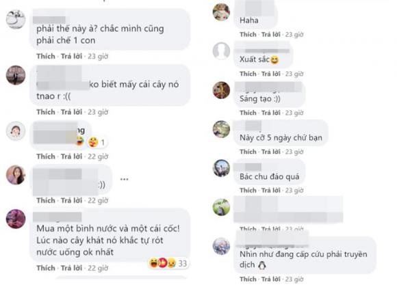 góc sáng tạo, cách cung cấp đủ nước cho cây, trồng cây