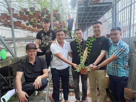 Hoa Lan, Nghệ nhân Bùi Hữu Thanh, Lan đột biến