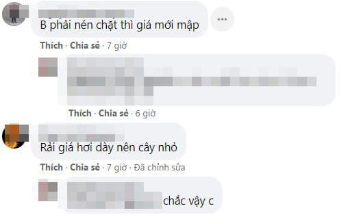 cách làm giá đỗ, làm giá đỗ, món ngon 