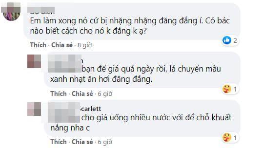 cách làm giá đỗ, làm giá đỗ, món ngon 