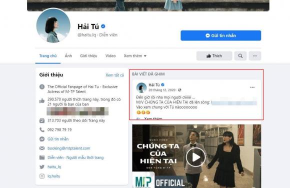 Sơn Tùng M -TP, Hải Tú, netizen, 