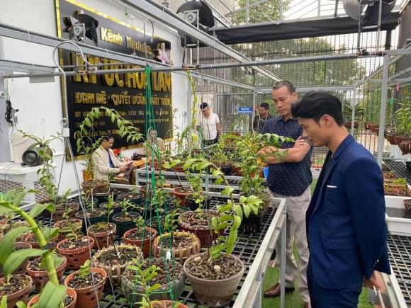 Đỗ Việt Đức, Nghệ nhân lan, Lan đột biến