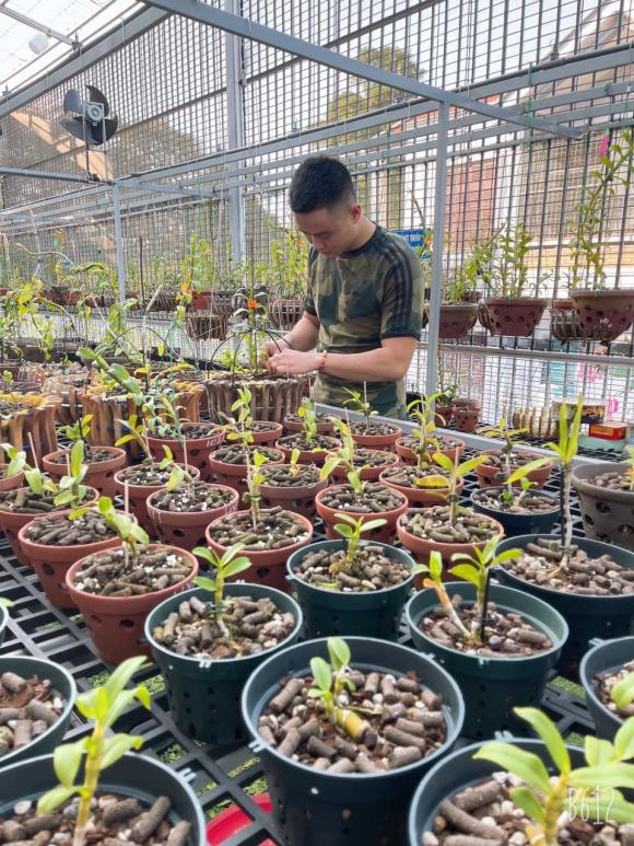 Đỗ Việt Đức, Nghệ nhân lan, Lan đột biến