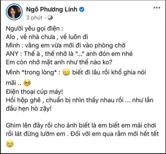 Linh Rin, Phillip Nguyễn, em chồng Tăng Thanh Hà