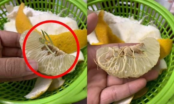 cao cổ, chuyện lạ