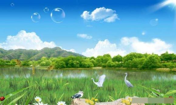 tử vi, năm sinh, ngày sinh tốt, phụ nữ