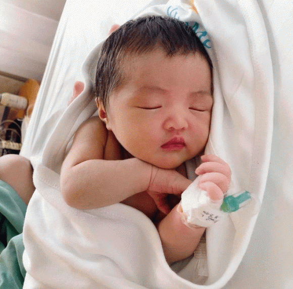 ca sĩ Đông Nhi, sao Việt