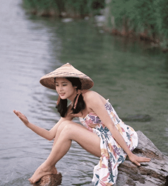 Trần Hồng, vợ của đạo diễn Trần Khải Ca, sao Hoa ngữ, mỹ nhân Hoa ngữ