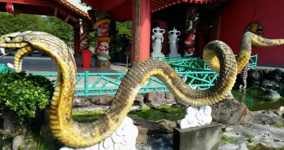 chùa nổi tiếng, chùa rắn, rắn lục, chuyện lạ