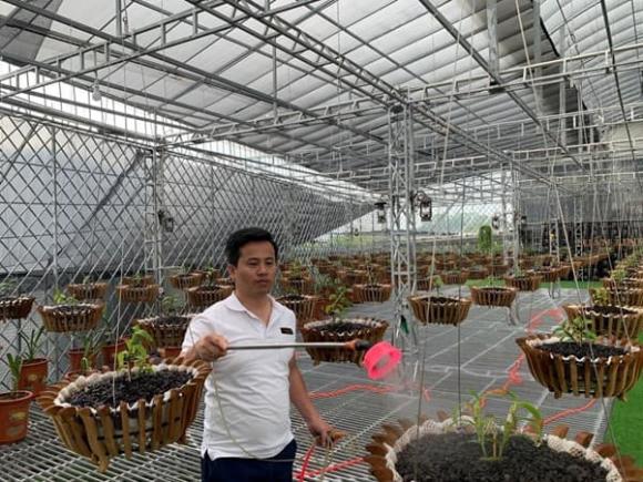 vuon-lan-tuan-linh- (1).jpg 0 Lan đột biến, vườn lan Tuan Linh