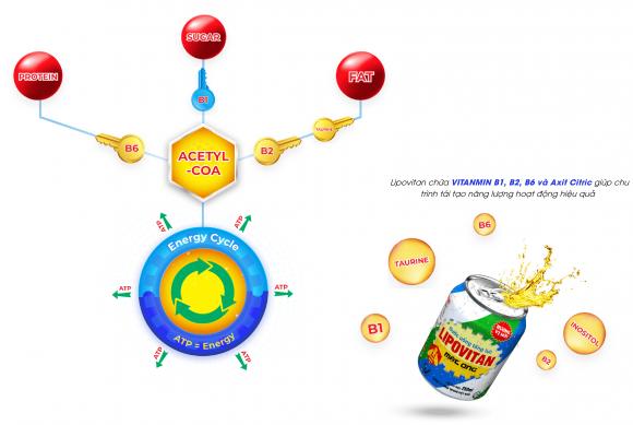 lipovitan-103-2.jpg 0 LIPOVITAN, Nước tăng lực