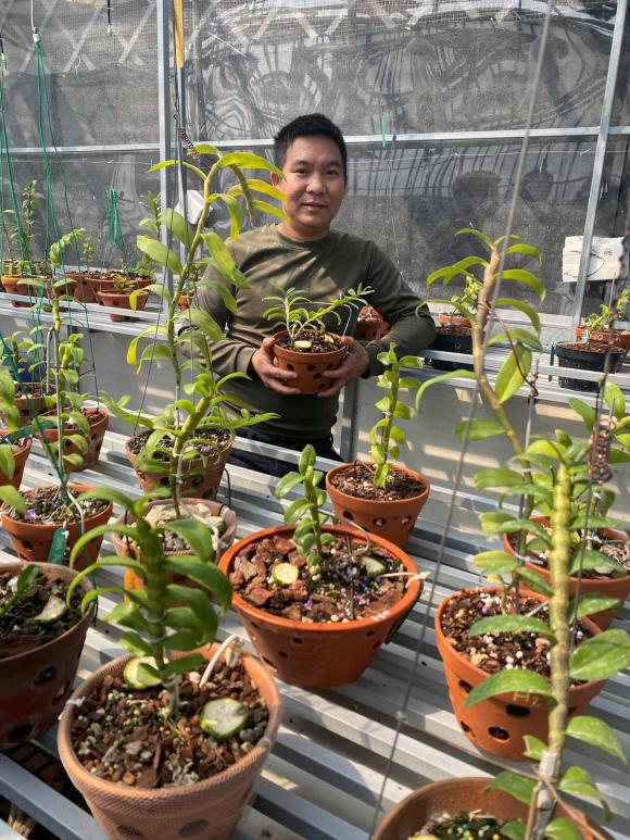 Vũ Hoàng Anh, vườn lan, lan đột biến