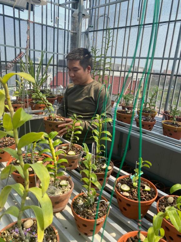 Vũ Hoàng Anh, vườn lan, lan đột biến