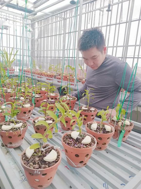 Vũ Hoàng Anh, vườn lan, lan đột biến