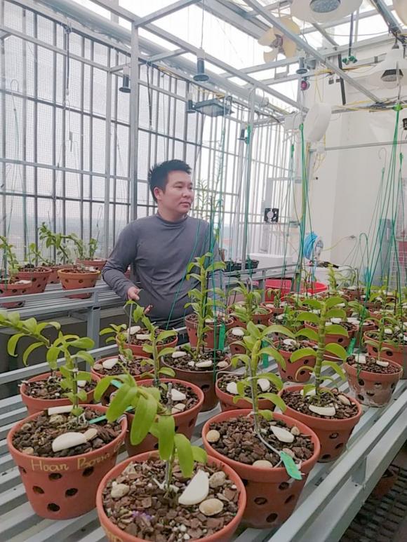 Vũ Hoàng Anh, vườn lan, lan đột biến