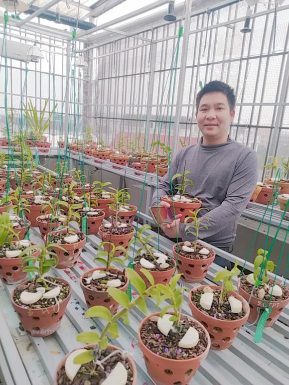 Vũ Hoàng Anh, vườn lan, lan đột biến