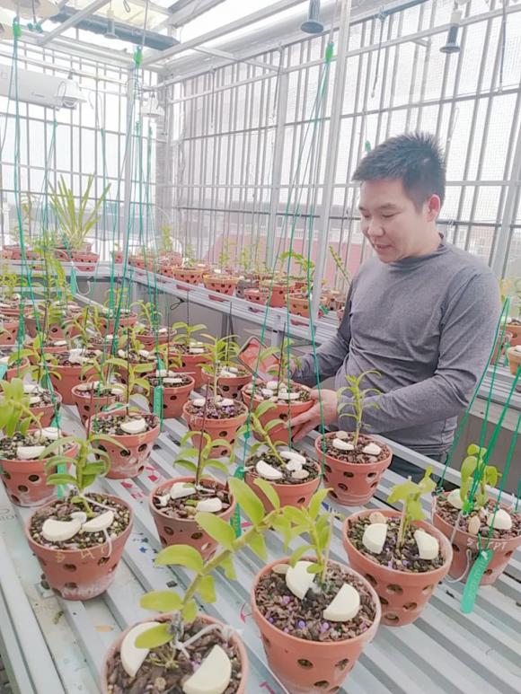 Vũ Hoàng Anh, vườn lan, lan đột biến