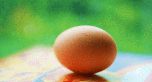 lòng đỏ trứng, lòng trắng trứng, trứng gà