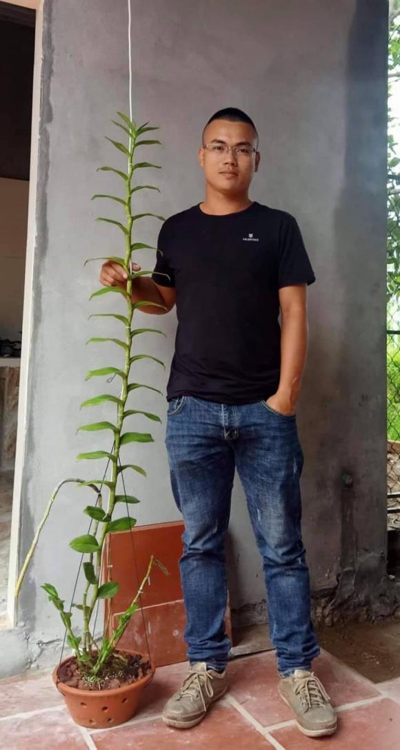 Hoàng Hữu Trung, hoa lan, lan đột biến