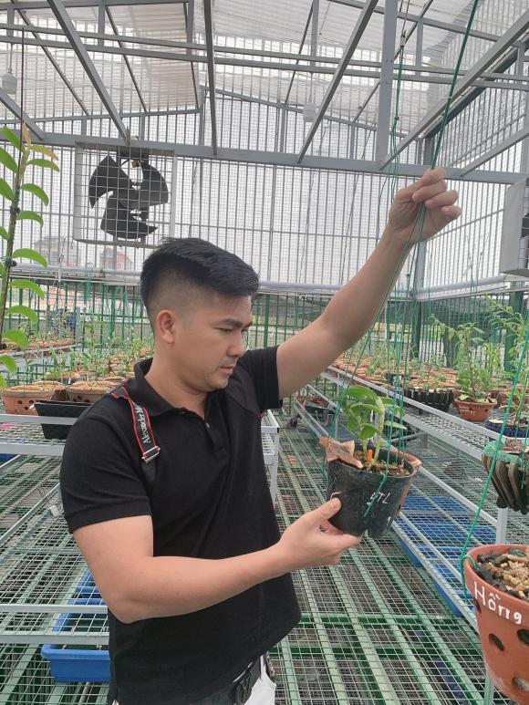 ducdaiphat3.jpg 0 Đức Đại Phát, Hoa lan, Lan đột biến