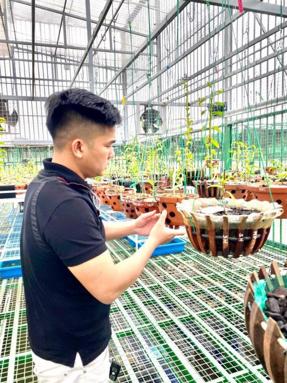 ducdaiphat3.jpg 0 Đức Đại Phát, Hoa lan, Lan đột biến