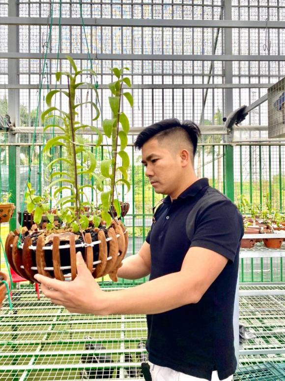 ducdaiphat3.jpg 0 Đức Đại Phát, Hoa lan, Lan đột biến