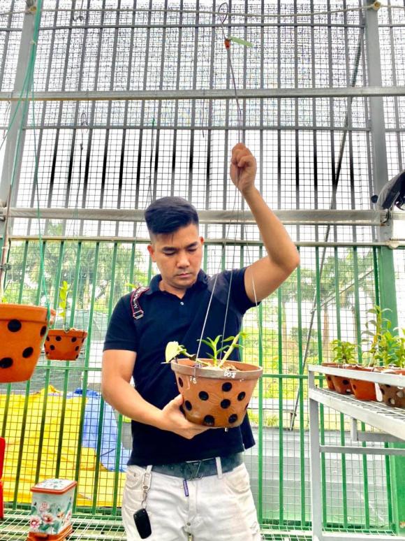 ducdaiphat3.jpg 0 Đức Đại Phát, Hoa lan, Lan đột biến