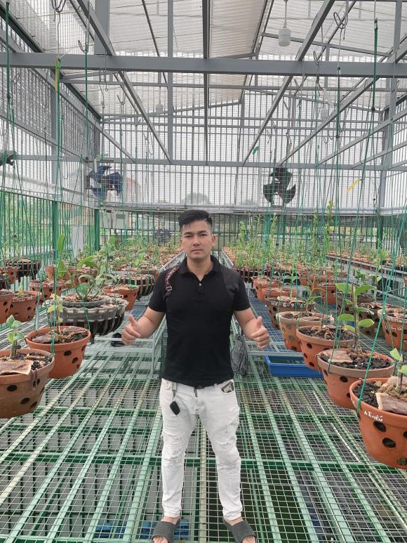 ducdaiphat3.jpg 0 Đức Đại Phát, Hoa lan, Lan đột biến