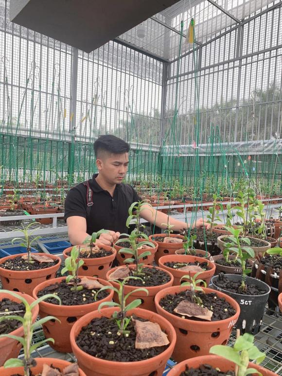 ducdaiphat3.jpg 0 Đức Đại Phát, Hoa lan, Lan đột biến