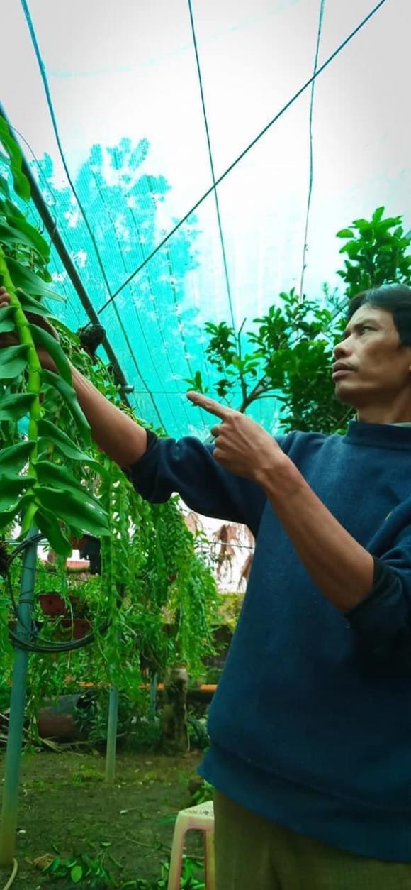 Đỗ Văn Đạt, nghệ nhân trồng lan, lan đột biến, hoa lan