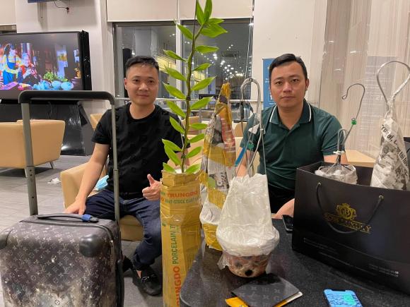 Nghệ nhân Nguyễn Tiệp, lan đột biến, Hoa lan