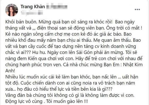 Nhật Kim Anh, Nữ diễn viên, Giành quyền nuôi con