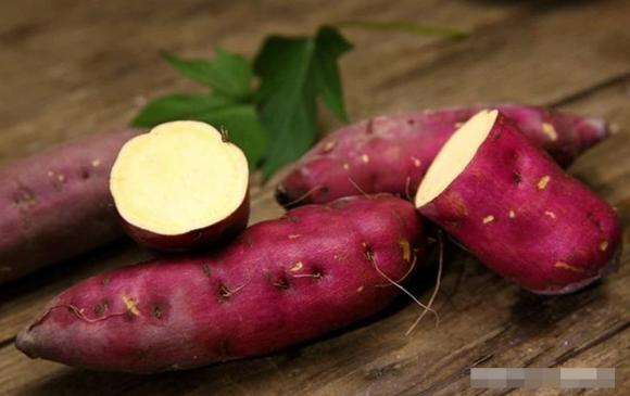 tác dụng của quả cau, chăm sóc sức khỏe đúng cách, lưu ý khi ăn trầu cau