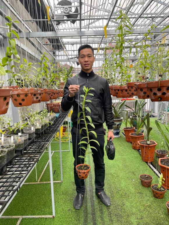Hoàng Ngọc Huyên, Hoa lan, Lan đột biến