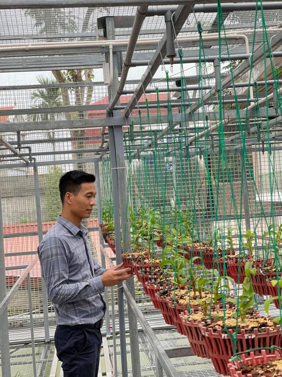Hoàng Ngọc Huyên, Hoa lan, Lan đột biến