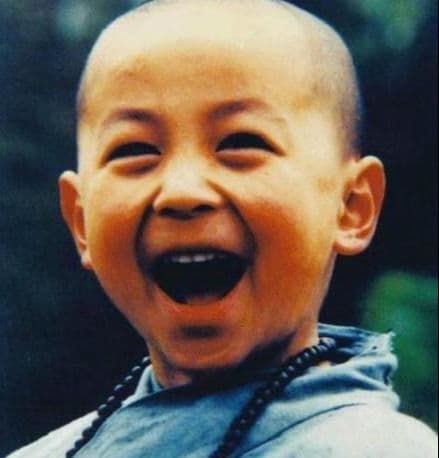 Thích Tiểu Long,sao Hoa ngữ