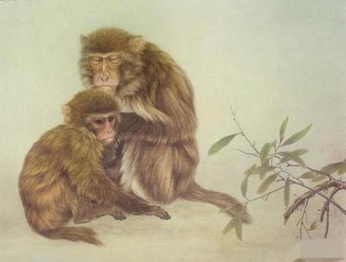 tử vi, con giáp, tháng 4