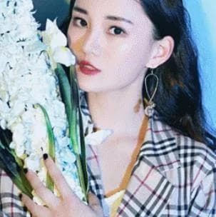 Biệt thự táo đỏ, phim thần tượng, sao hoa ngữ