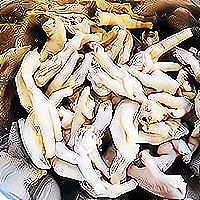 món ngon mỗi ngày, chân gà ngâm sả ớt, ẩm thực gia đình