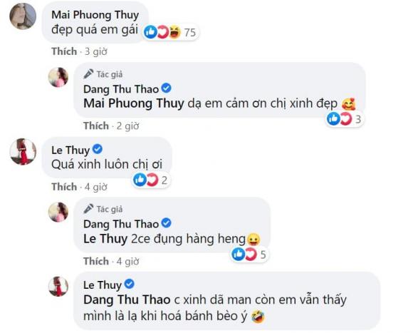 Đặng Thu Thảo, Hoa hậu Đặng Thu Thảo, Lê Thúy