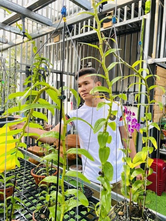 Trần Thanh Tài, Lan đột biến, Lan var